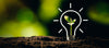 Sustainability in Healthcare: How Used Medical Equipment Is Driving a Greener Future