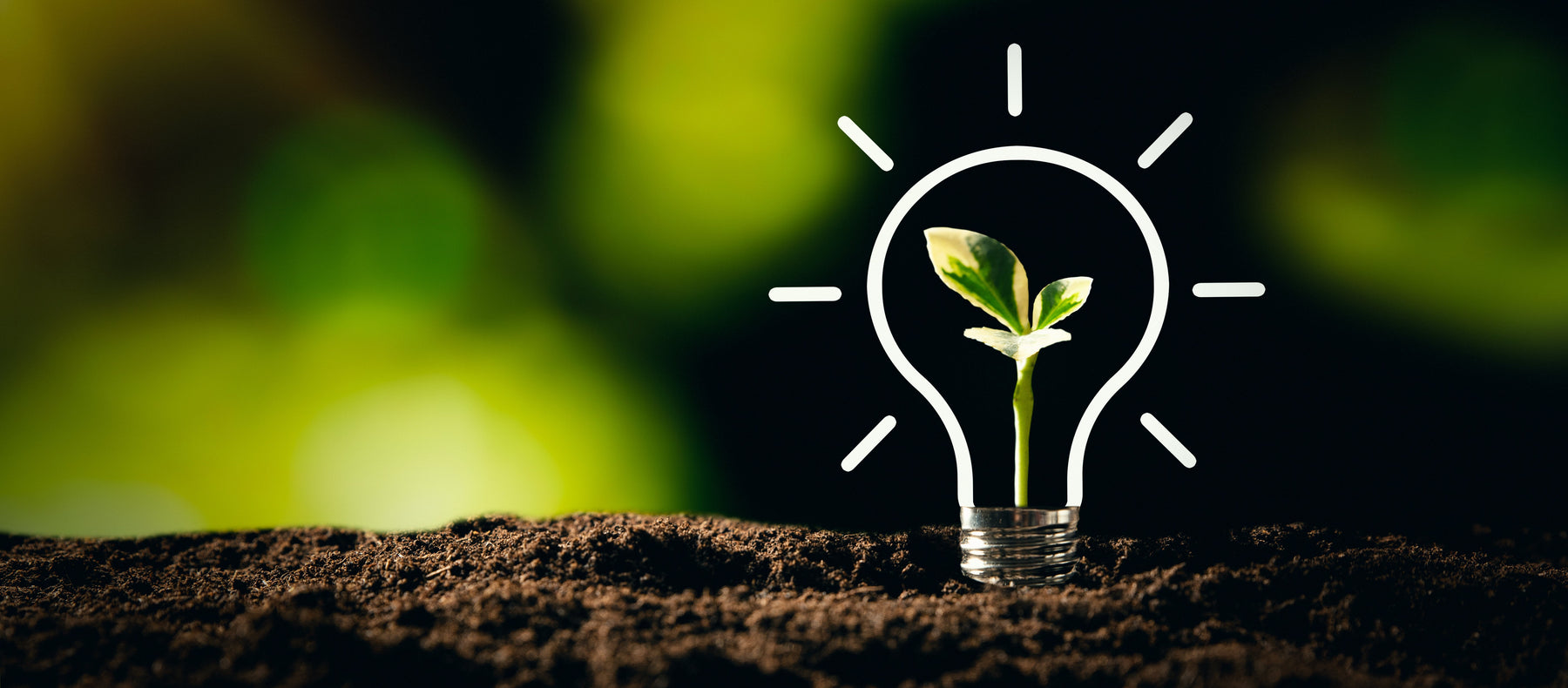 Sustainability in Healthcare: How Used Medical Equipment Is Driving a Greener Future