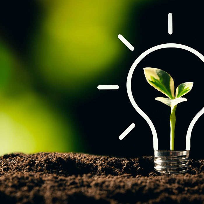 Sustainability in Healthcare: How Used Medical Equipment Is Driving a Greener Future
