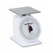 Detecto Detecto PT-500RK Portion Scales Rotating Dial Painted Finish 500g Supplies reLink Medical