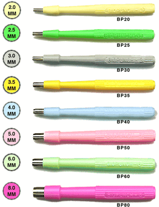 SS Medical Products SS Medical Products 77006-4C Biopsy Punch 6.0 mm Sea Green Surgical Instruments reLink Medical