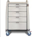 Capsa Healthcare Capsa Healthcare AM10TC-LCD-C-STK Stock Cart Treatment Supplies reLink Medical