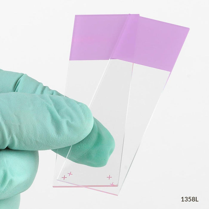 Globe Scientific, Inc. Globe Scientific Inc. 1358L Charged Slide Adhesive Surface 90‚° Supplies reLink Medical