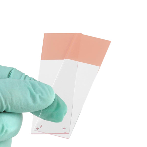 Globe Scientific, Inc. Globe Scientific Inc. 1358N Charged Slide Adhesive Surface 90‚° Supplies reLink Medical