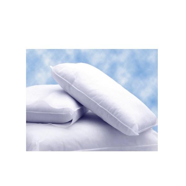 Albahealth, LLC (Encompass Company) Albahealth LLC 51107-553/24 Pillow Personal 19x25 White Single Supplies reLink Medical