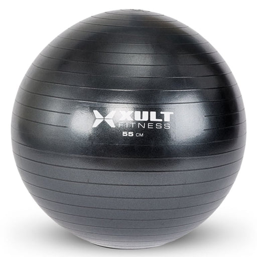 Matrix Fitness Matrix Fitness ZMD4006506 Stability Ball Fitness and Rehab Equipment reLink Medical