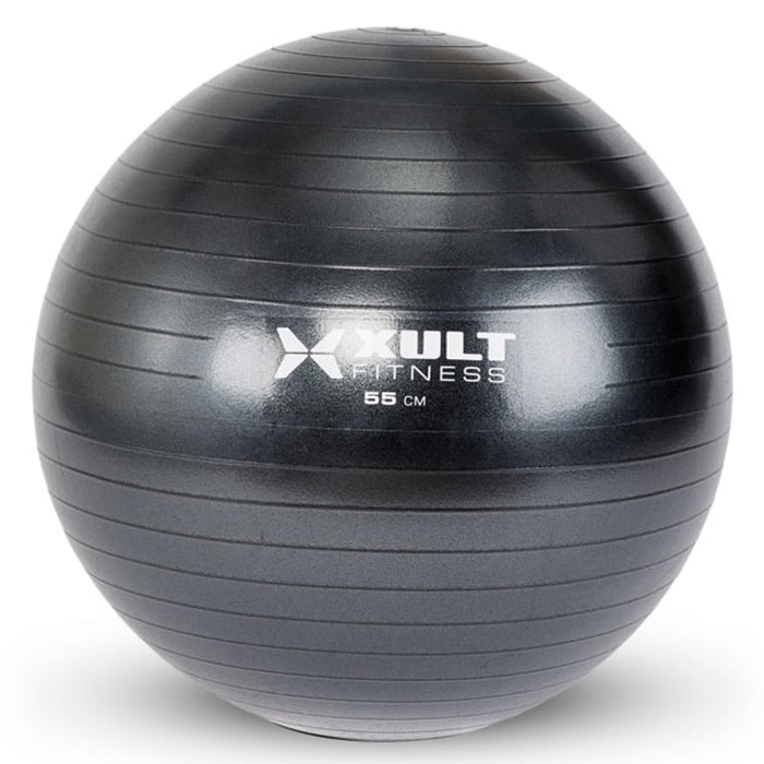 Matrix Fitness Matrix Fitness ZMD4006506 Stability Ball Fitness and Rehab Equipment reLink Medical