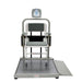 Pelstar LLC/Health o meter Professional Scales Health O Meter Professional Scales 2500CKG Digital Scales reLink Medical