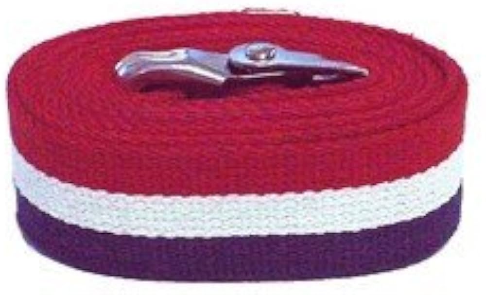 Kinsman Enterprises, Inc. Kinsman Enterprises Inc. 80304 Gait Belt Patriot 2" x Supplies reLink Medical