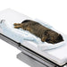 Solventum Corporation Solventum Corporation 55577 Animal Blanket Underbody Supplies reLink Medical