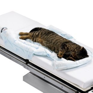 Solventum Corporation Solventum Corporation 53777 Animal Blanket Small Supplies reLink Medical