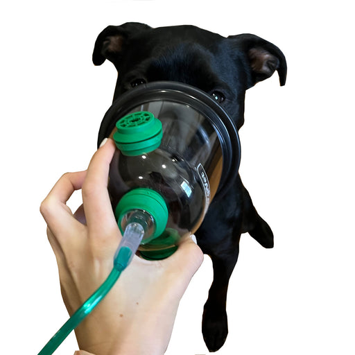 ICU Medical ICU Medical 32490B10 Surgivet Oxygen Mask Canine Recovery Large Supplies reLink Medical