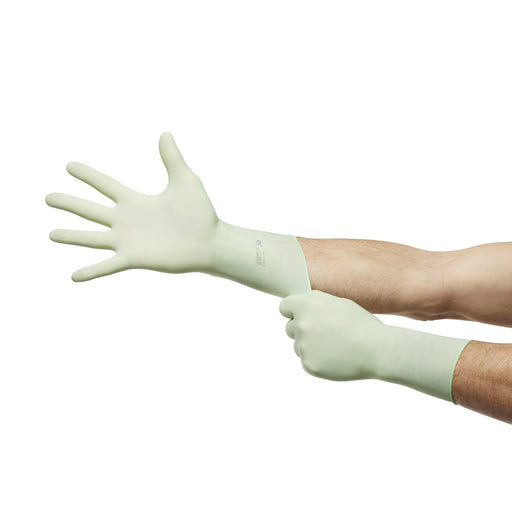 Ansell Ansell 20688285 Surgical Gloves Size 8‚½ Powder Free White Supplies reLink Medical