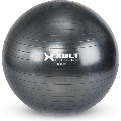 Matrix Fitness Matrix Fitness ZMD4006507 Stability Ball Fitness and Rehab Equipment reLink Medical