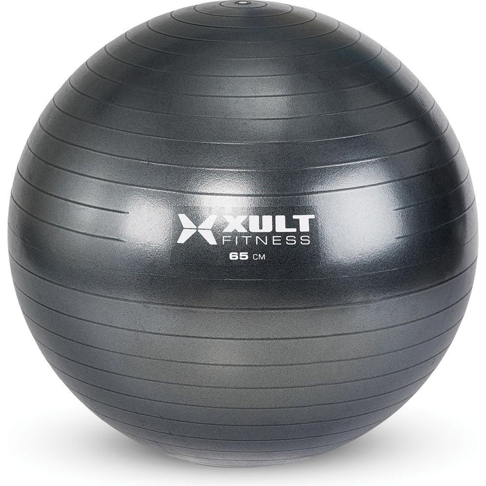 Matrix Fitness Matrix Fitness ZMD4006507 Stability Ball Fitness and Rehab Equipment reLink Medical