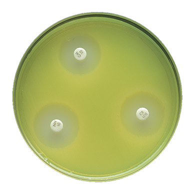 Becton Dickinson (BD) BD 221275 BBL Plate Mueller Hinton II Agar Supplies reLink Medical