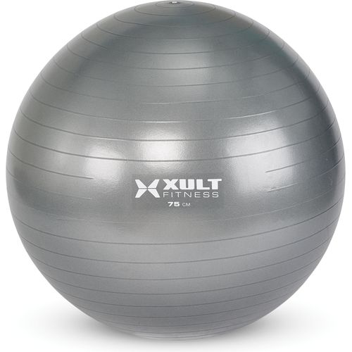 Matrix Fitness Matrix Fitness ZMD4006508 Stability Ball Fitness and Rehab Equipment reLink Medical