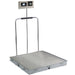 Detecto Detecto Solace In-Floor Dialysis Scale Scales reLink Medical