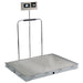 Detecto Detecto Solace In-Floor Dialysis Scale Scales reLink Medical