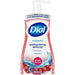 Dial Corporation Dial Corporation 1700034727 Hand Wash Foaming Antibacterial Power Supplies reLink Medical