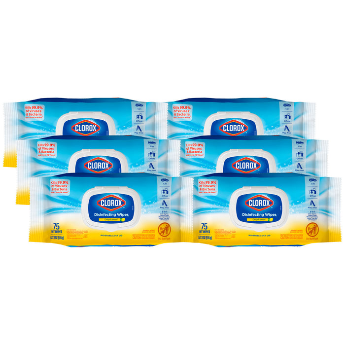 Clorox Sales Company Clorox Sales Company 31404 Clorox Disinfecting Wipes Flex Pack Supplies reLink Medical