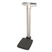 Pelstar LLC/Health o meter Professional Scales Health O Meter Professional Scales 499KL Digital Scale Scales reLink Medical
