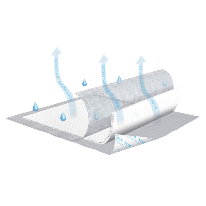 Essity Health & Medical Solutions Essity Health & Medical Solutions 61314 Underpad InstaDri Air Supplies reLink Medical