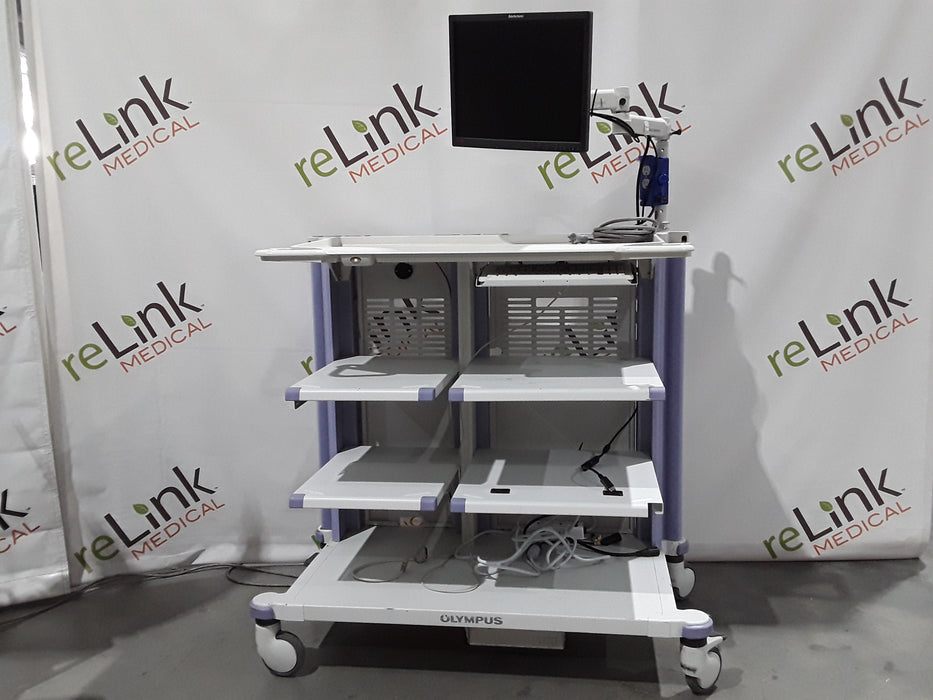 Olympus WM-DP1 Mobile Endoscopy Workstation Cart