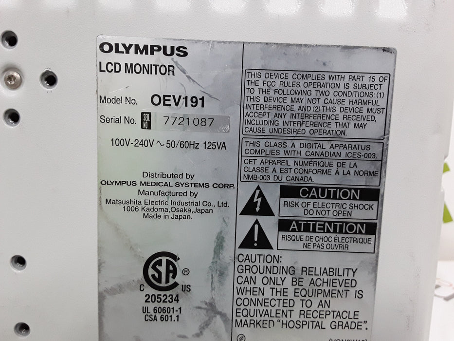 Olympus OEV191 Medical Display