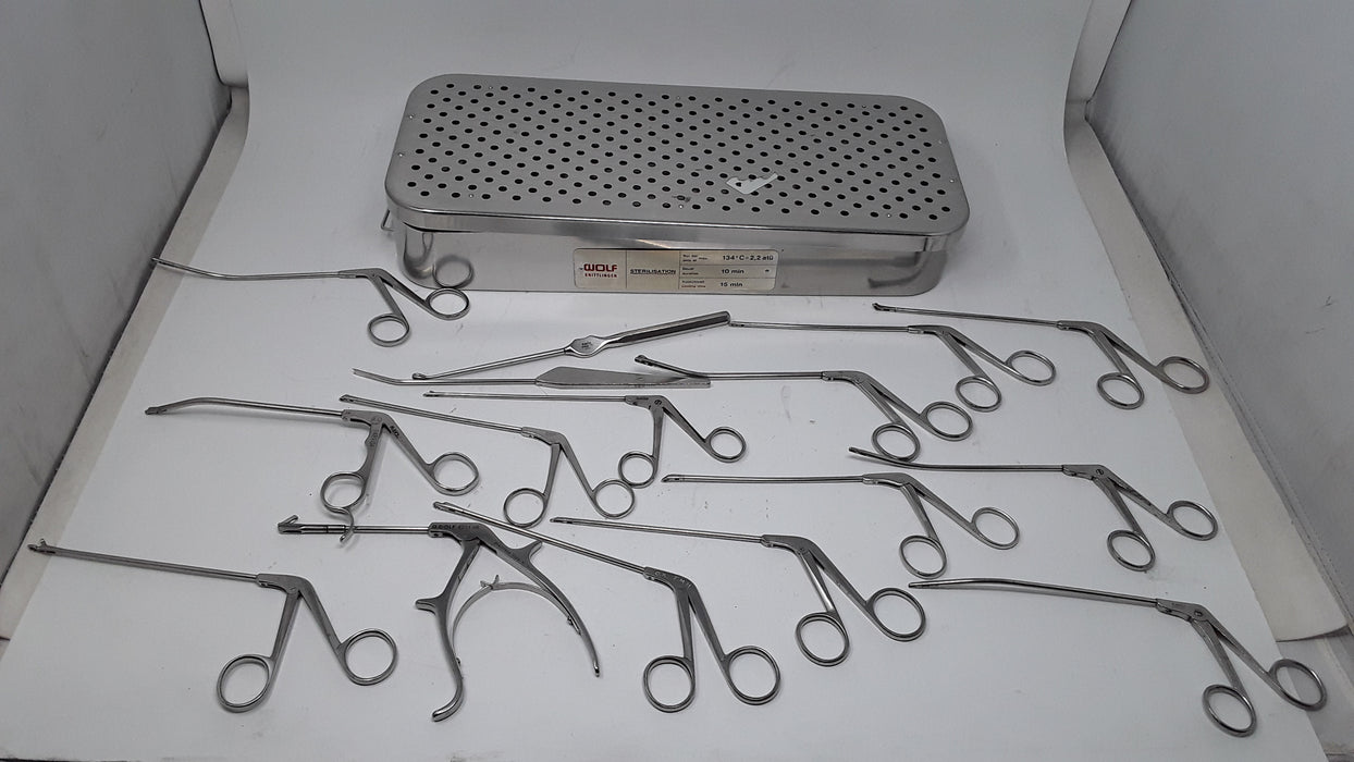 Richard Wolf Surgical Arthroscopic Set