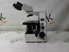 Olympus Olympus CX31 Microscope Lab Microscopes reLink Medical