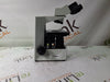 Olympus Olympus CX31 Microscope Lab Microscopes reLink Medical