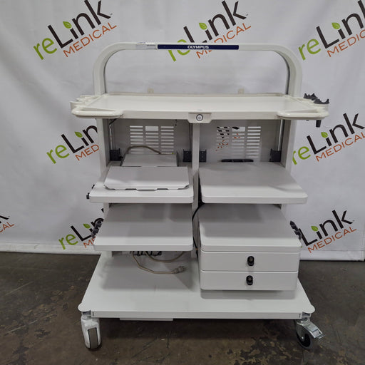 Olympus Olympus WM-DP2 Multimedia Cart Medical Furniture reLink Medical