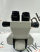 Carl Zeiss Carl Zeiss F170 Optic Surgical Microscopes reLink Medical