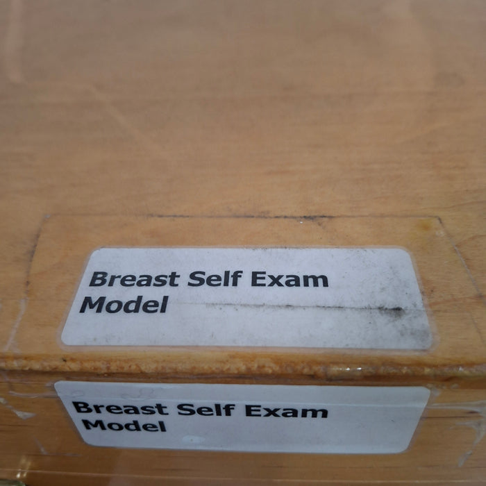 WRS Health EDCO Breast Self Exam Model