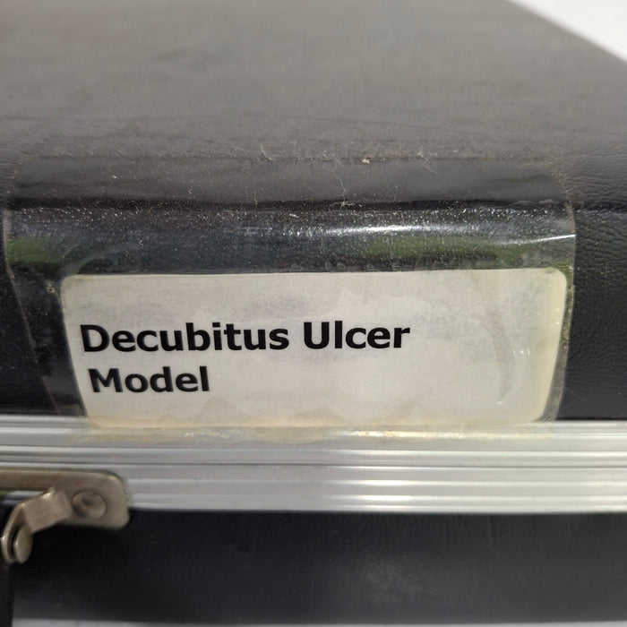 WRS Health EDCO Decubitus Ulcer Model