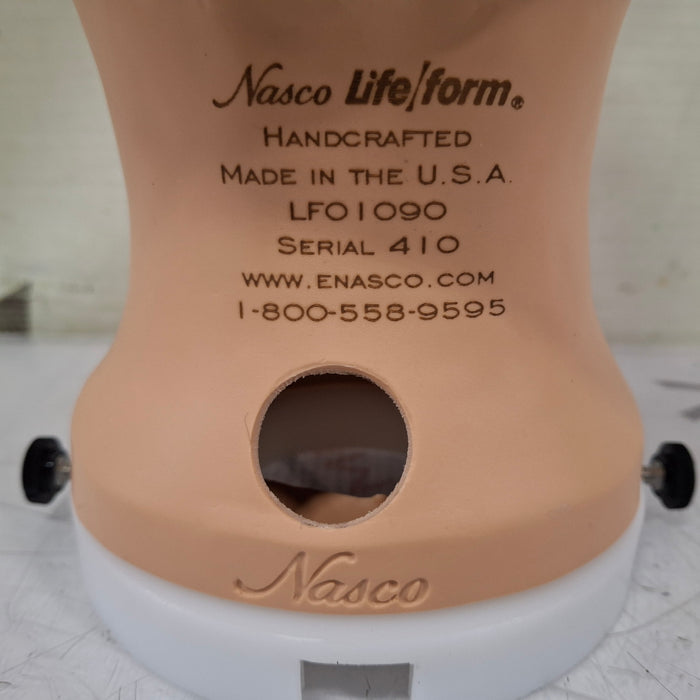 Nasco LifeForm Diagnostic & Procedural Ear Trainer