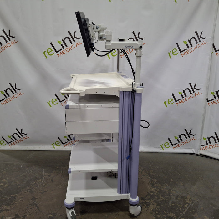 Olympus WM-DP1 Mobile Endoscopy Workstation Cart