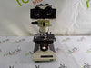 Olympus Olympus BH-2 BHTU Binocular Teaching Microscope Lab Microscopes reLink Medical
