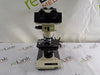 Olympus Olympus BH-2 BHTU Binocular Teaching Microscope Lab Microscopes reLink Medical