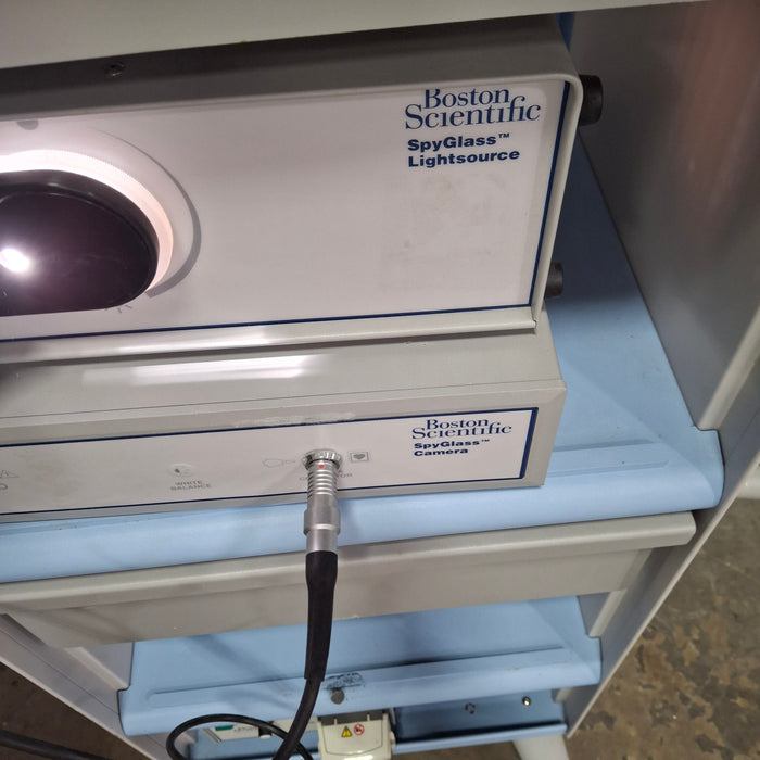 Boston Scientific Boston Scientific SpyGlass System Rigid Endoscopy reLink Medical