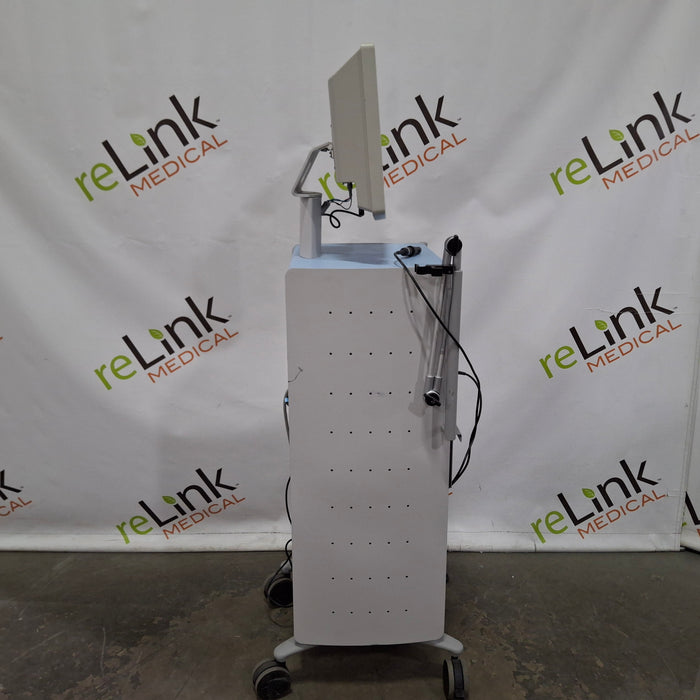 Boston Scientific Boston Scientific SpyGlass System Rigid Endoscopy reLink Medical