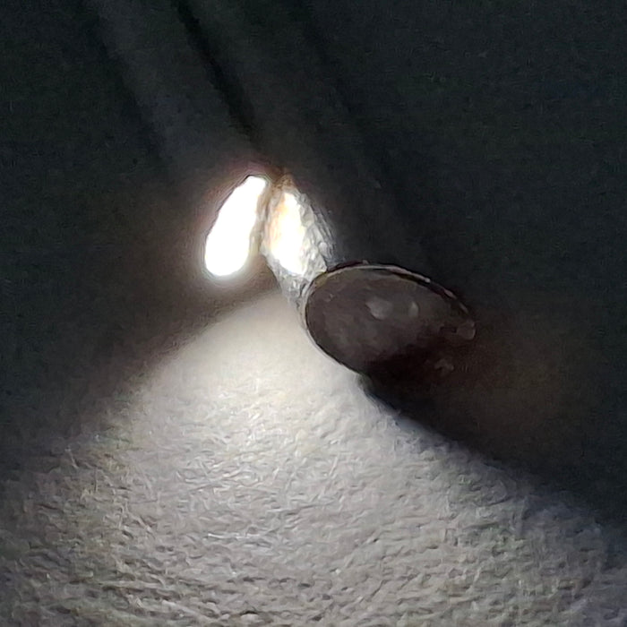 Karl Storz Hopkins 27029B 30° Rigid Scope