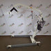 Medline Medline MDS600EL Electric Patient Lift Beds & Stretchers reLink Medical