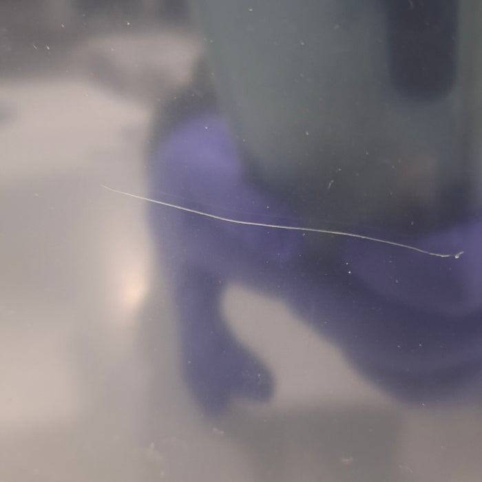 GE Healthcare GE Healthcare Carescape B650 Critical Care Patient Monitor Patient Monitors reLink Medical