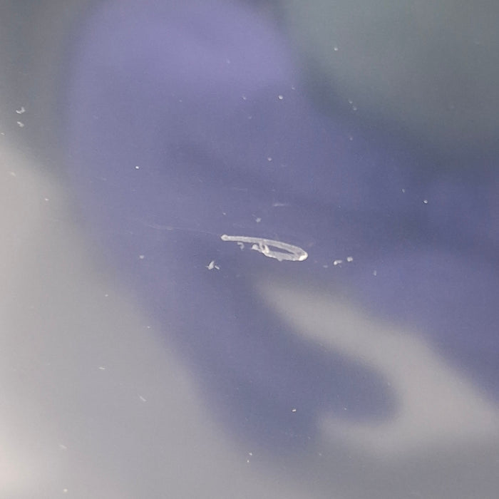 GE Healthcare GE Healthcare Carescape B650 Critical Care Patient Monitor Patient Monitors reLink Medical