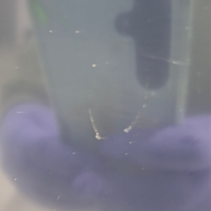 GE Healthcare GE Healthcare Carescape B650 Critical Care Patient Monitor Patient Monitors reLink Medical