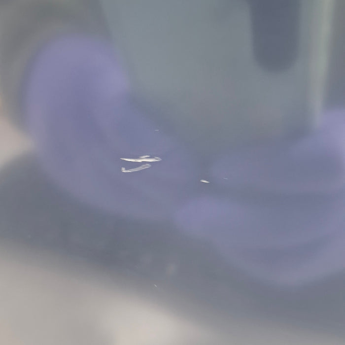 GE Healthcare GE Healthcare Carescape B650 Critical Care Patient Monitor Patient Monitors reLink Medical