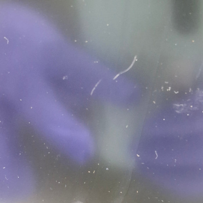 GE Healthcare GE Healthcare Dash 5000 - GE/Nellcor SpO2 Patient Monitor Patient Monitors reLink Medical