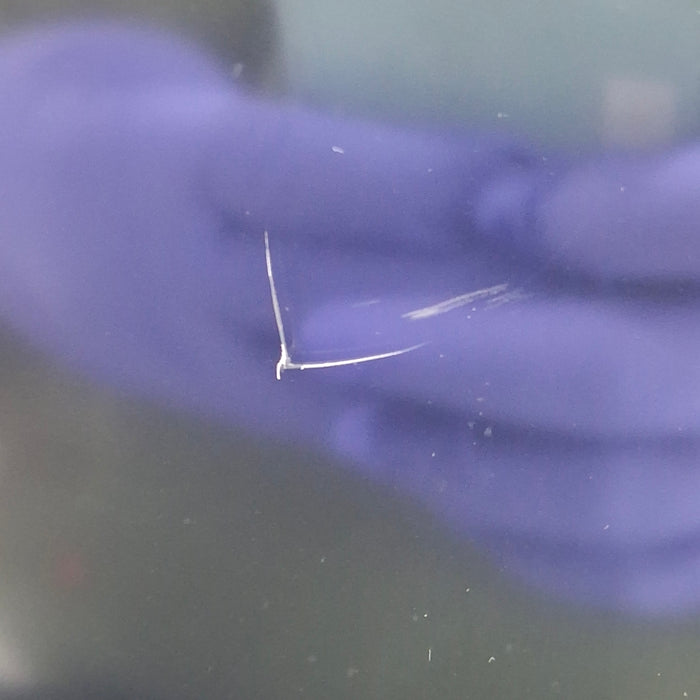 GE Healthcare GE Healthcare Carescape B650 Anesthesia Care Patient Monitor Patient Monitors reLink Medical